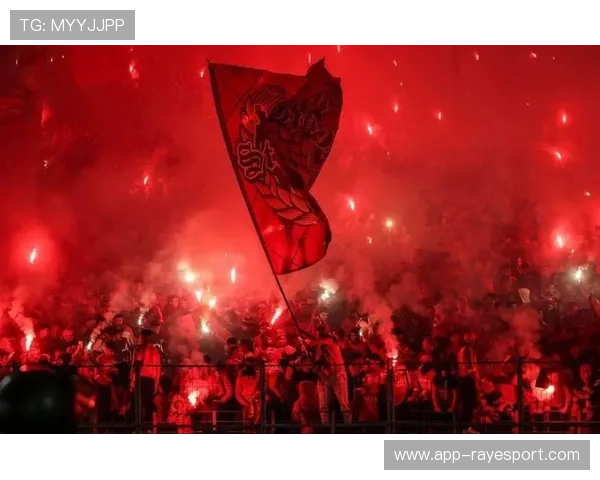 球迷烟火表演导致比赛短暂中断